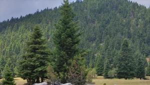 Στην Υπάτη των μαγισσών