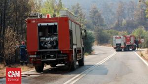 Σε γενική επιφυλακή το Πυροσβεστικό Σώμα - 48 αγροτοδασικές πυρκαγιές το τελευταίο 24ωρο