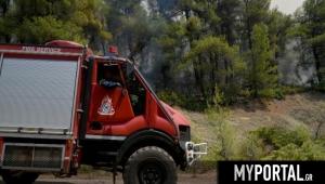 Πολύ υψηλός κίνδυνος πυρκαγιάς την Κυριακή σε 11 Περιφέρειες της Ελλάδας
