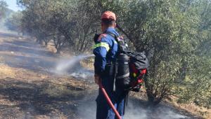 Χωρίς ενεργό μέτωπο η φωτιά στα Συχαινά Πάτρας – Υπό μερικό έλεγχο το μέτωπο στο Στρατώνι