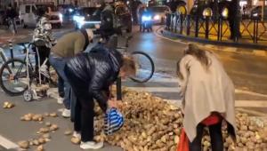 Βρυξέλλες: Μαζεύουν τις πατάτες που έριξαν οι αγρότες μπροστά στο Ευρωκοινοβούλιο