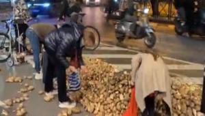 Βρυξέλλες: Μαζεύουν πατάτες από τον δρόμο μετά τις αγροτικές διαμαρτυρίες (βίντεο)
