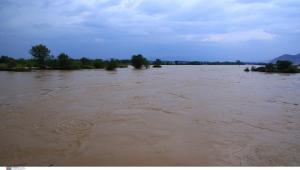 EΛΓΑ: 35,1 εκατ. ευρώ προκαταβολή ενισχύσεων για ζημιές φυτικού κεφαλαίου