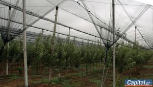 ΕΛΓΑ: Πληρωμές 35,1 εκατ. ευρώ για καταστροφές σε φυτικό κεφάλαιο από τον Daniel και Elias και από πυρκαγιές σε Έβρο, Καβάλα και Φθιώτιδα