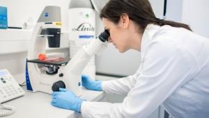 Επιστήμη: Αισιόδοξες επιστημονικές ιστορίες του 2025, σύμφωνα με το Nature