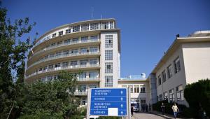 Φθιώτιδα: Σκύλος «έκοψε» τα δάχτυλα γυναίκας – Διακομίστηκε εσπευσμένα στο ΚΑΤ η τραυματίας