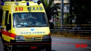 Αταλάντη: Σκύλος επιτέθηκε σε γυναίκα και της έκοψε δύο δάχτυλα - Διακομίστηκε στο ΚΑΤ