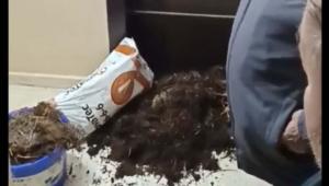 Φλώρινα: Κοπριά πέταξαν οι αγρότες στο γραφείο του βουλευτή της ΝΔ Σταύρου Παπασωτηρίου