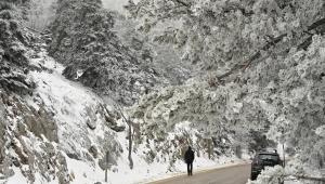 «Στα λευκά» η Πάρνηθα: «Λουκέτο» στη Λεωφόρο Πάρνηθος λόγω κακοκαιρίας (Βίντεο)