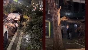 Σαρωτικό πέρασμα της κακοκαιρίας από την Αλεξανδρούπολη