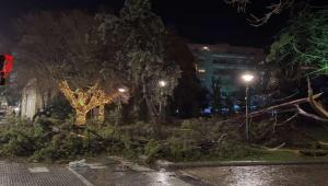 Αλεξανδρούπολη: Άνεμοι με ριπές μέχρι και 150 χλμ/ώρα σάρωσαν την πόλη (Βίντεο & φωτό)