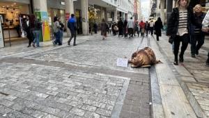 Δήμος Αθηναίων: Σε εφαρμογή έκτακτα μέτρα για την προστασία αστέγων λόγω ψύχους