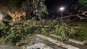 Τι προκάλεσε τους θυελλώδεις ανέμους που σάρωσαν την Αλεξανδρούπολη – Τα καθοδικά ρεύματα καταιγίδας και γιατί δεν μπορούσαν να προβλεφθούν