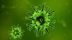 «Καμπανάκι» από την Ελληνική Εταιρεία Λοιμώξεων για την απόσυρση φθηνού αντιβιοτικού - Γιατί ζητά επαναφορά