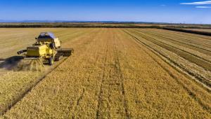 Υπό δέσμευση οι λογαριασμοί 12 αγροτών για παράνομες επιδοτήσεις