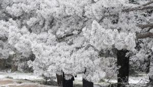 "Χειμώνας με διάρκεια": Έρχονται καταιγίδες, θυελλώδεις άνεμοι και χιόνια - Οι ημέρες που θα κάνει πολύ κρύο