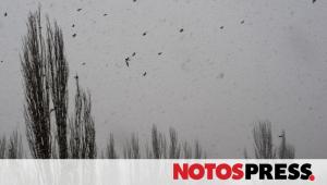 Πελοπόννησος: Ο καιρός την Τρίτη 20 Ιανουαρίου