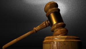 Θεσσαλονίκη: Ένοχοι δύο αντιδήμαρχοι για φονική επίθεση αγέλης σκύλων