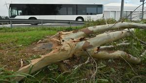 120 κλήσεις δέχτηκε το Κέντρο Επιχειρήσεων της Πυροσβεστικής λόγω κακοκαιρίας