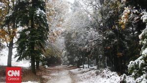 Έντονη χιονόπτωση στα ορεινά της Καρδίτσας - Υποχρεωτικές οι αντιολισθητικές αλυσίδες