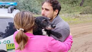 Σκύλος που αγνοούνταν μετά τη σιδηροδρομική τραγωδία στην Ισπανία διασώθηκε έπειτα από τέσσερις ημέρες