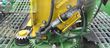 Cosechadora de Cereal - John Deere - 9700