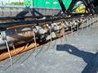 Cosechadora de Cereal - Fendt - 6275 l