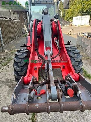 Minicargadora -  - radlader weidemann 3070 cx60 lp gepflegter zustand