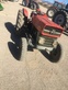 Tractor agrícola - Massey Ferguson - 135 EBRO
