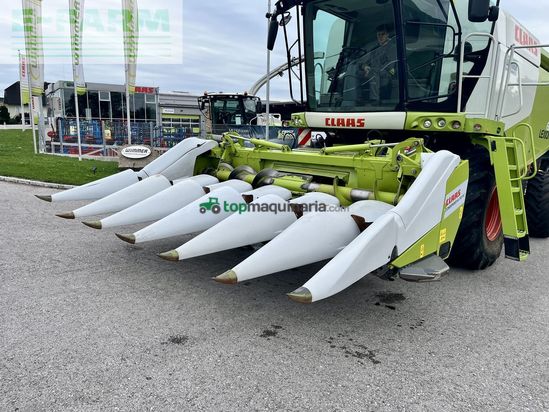 Cabezal - Claas - conspeed 6-70 fc - gebrauchter maispflücker