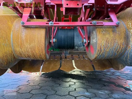 Cosechadora - arrancadora de patata - Grimme - evo 280 clod sep ub