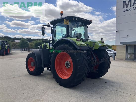 Tractor agrícola - Claas - ARION 650 CEBIS