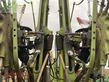 Rastrillo - Claas - liner 4000
