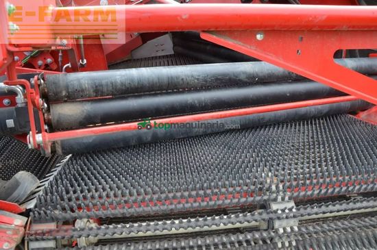 Cosechadora - arrancadora de patata - Grimme - evo 280 clodsep gen ii