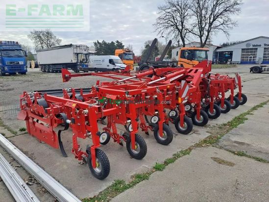 Cosechadora - arrancadora de patata - Grimme - dammformer gh 8 öko