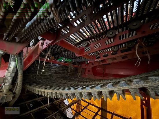 Cosechadora - arrancadora de patata - Grimme - evo 280