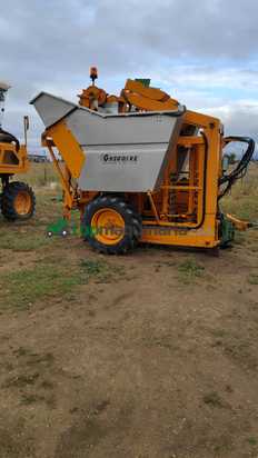 Vendimiadora - Grégoire - G60