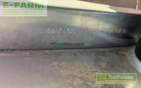 Esparcidor - Maschio - primo ew