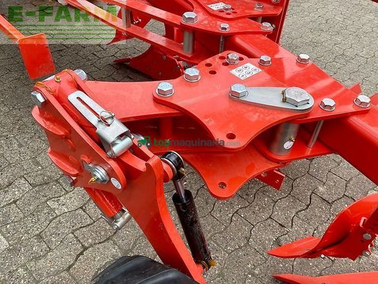 Arado - Maschio - unico m passo 4+