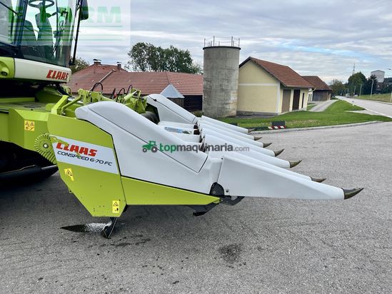 Cabezal - Claas - conspeed 6-70 fc - gebrauchter maispflücker