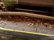 Cosechadora de Cereal - Claas - tucano 570