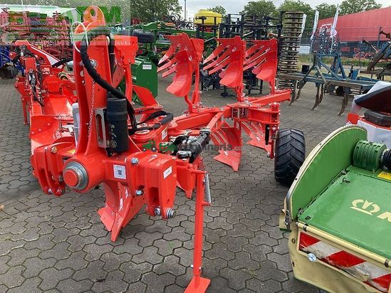 Arado - Maschio - unico m passo 4