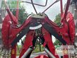 Rastrillo - Fella - ts 10065 pro