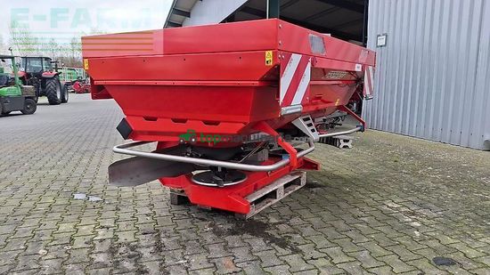 Esparcidor - Maschio - primo m 213