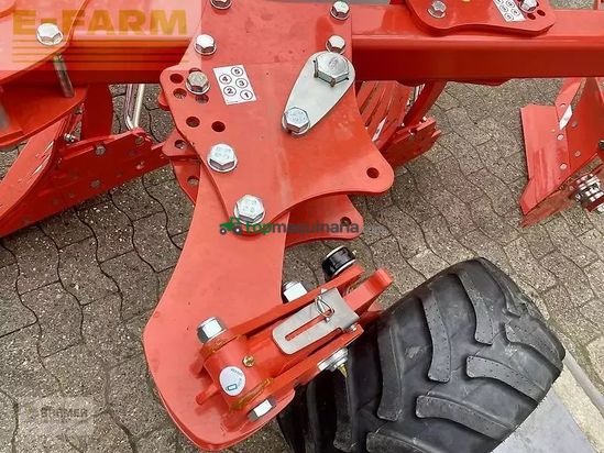 Arado - Maschio - unico m passo 4+