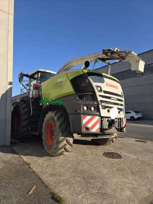 Cosechadora picadora  Claas - JAGUAR 980