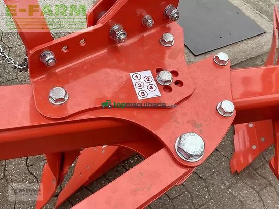 Arado - Maschio - unico m passo 4+