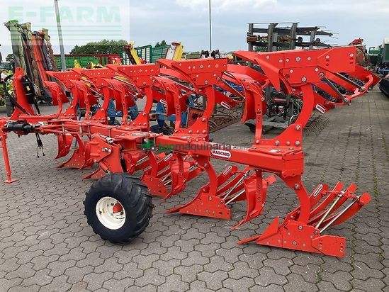 Arado - Maschio - unico m passo 4+1