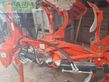 Arado - Maschio - unico m passo 4