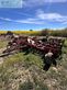 Grada de disco - Horsch - joker 10 rt